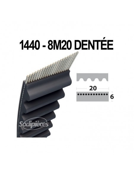 Courroie tondeuse 1440-8M20 Simple Denture. Larg : 20 mm x 1440 mm.