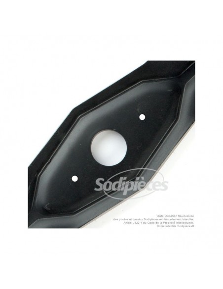 Lame tondeuse 65 cm. Al. 29,9 mm. Pour Etesia