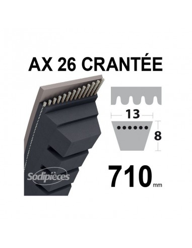 Courroie tondeuse AX26 Trapézoïdale Crantée. 13 mm x 710 mm.