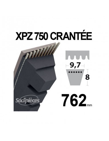 Courroie tondeuse XPZ750 Trapézoïdale crantée. 9,7 mm x 762 mm.