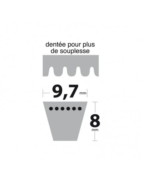 Courroie tondeuse XPZ750 Trapézoïdale crantée. 9,7 mm x 762 mm.