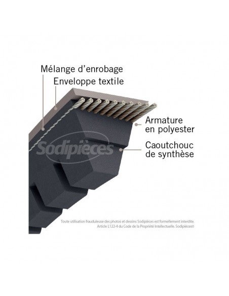 Courroie tondeuse XPZ750 Trapézoïdale crantée. 9,7 mm x 762 mm.