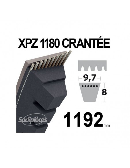 Courroie tondeuse XPZ1180 Trapézoïdale crantée. 9,7 mm x 1192 mm.