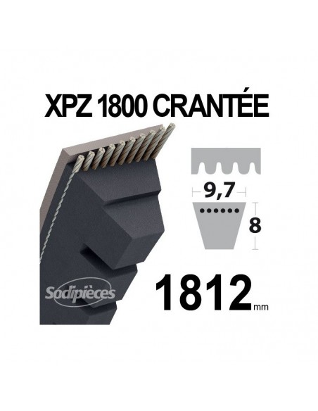 Courroie tondeuse XPZ1800 Trapézoïdale crantée. 9,7 mm x 1812 mm.