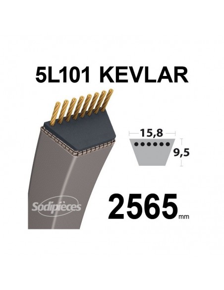 Courroie tondeuse 5L101 Kevlar Trapézoïdale. 15,8 mm x 2565 mm.