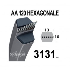 Courroie tondeuse AA120 Héxagonale. 13 mm x 3131 mm. 2