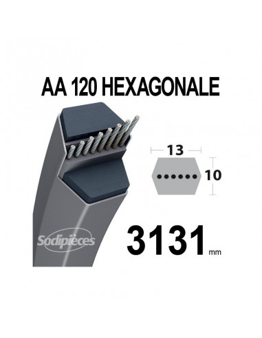 Courroie tondeuse AA120 Héxagonale. 13 mm x 3131 mm.