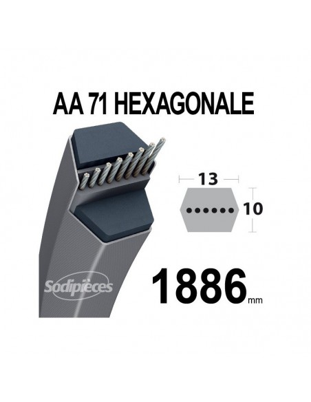 Courroie tondeuse AA71 Héxagonale. 13 mm x 1886 mm.