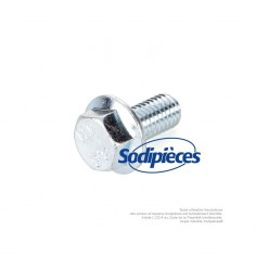 Vis de lame pour Stiga. Modèles Stiga Park et Stiga Villa. N° Origine 9990-1020-19