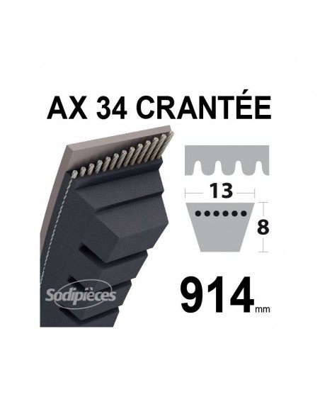 Courroie tondeuse AX34 Trapézoïdale crantée. 13 mm x 914 mm.