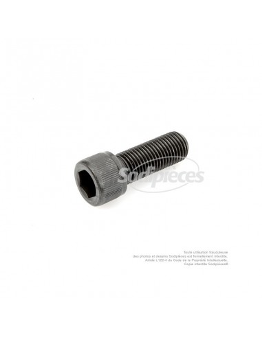 Vis de lame à tête Inbus pour Sabo. N° origine 29692, SA29692