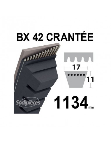 Courroie tondeuse BX42 Trapézoïdale crantée. 17 mm x 1134 mm.