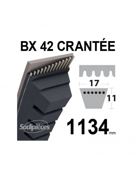 Courroie tondeuse BX42 Trapézoïdale crantée. 17 mm x 1134 mm.