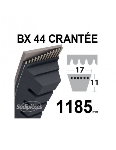 Courroie tondeuse BX44 Trapézoïdale crantée. 17 mm x 1185 mm.