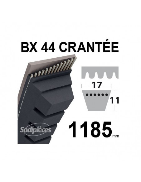 Courroie tondeuse BX44 Trapézoïdale crantée. 17 mm x 1185 mm.
