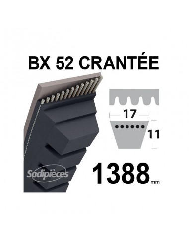 Courroie tondeuse BX52 Trapézoïdale crantée. 17 mm x 1388 mm.