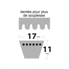 Courroie tondeuse BX52 Trapézoïdale crantée. 17 mm x 1388 mm. 2