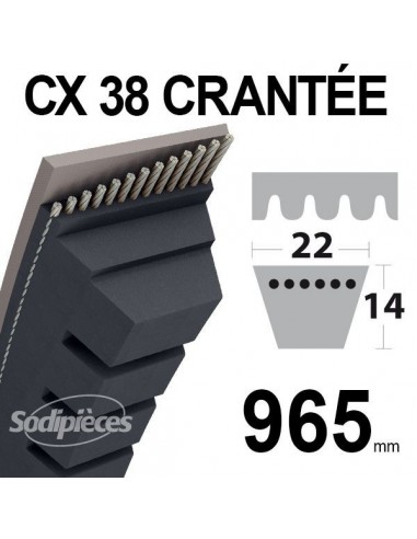 Courroie tondeuse CX38 Trapézoïdale 22 mm x 965 mm.