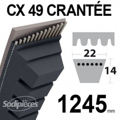 Courroie tondeuse CX49 Trapézoïdale 22 mm x 1245 mm.