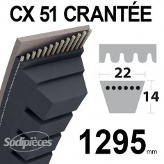 Courroie tondeuse CX51 Trapézoïdale 22 mm x 1295 mm.
