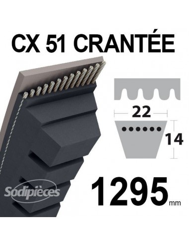Courroie tondeuse CX51 Trapézoïdale 22 mm x 1295 mm.