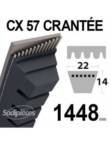 Courroie tondeuse CX57 Trapézoïdale 22 mm x 1448 mm.