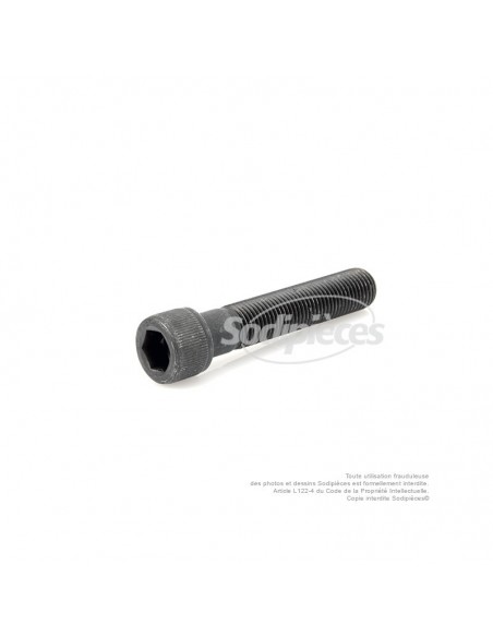 Vis de lame à tête Inbus pour Sabo. N° origine : 29475, SA29475