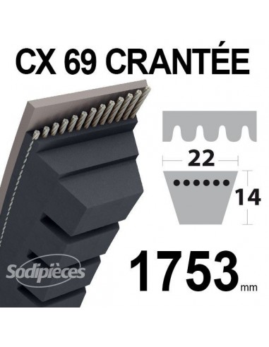 Courroie tondeuse CX69 Trapézoïdale 22 mm x 1753 mm.