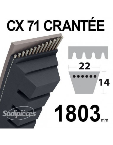 Courroie tondeuse CX71 Trapézoïdale 22 mm x 1803 mm.