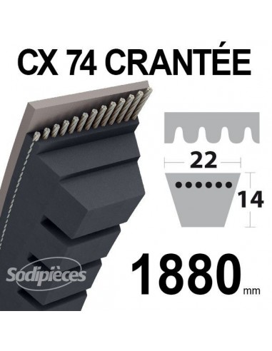 Courroie tondeuse CX74 Trapézoïdale 22 mm x 1880 mm.
