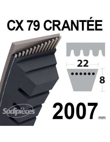 Courroie tondeuse CX79 Trapézoïdale 22 mm x 2007 mm.