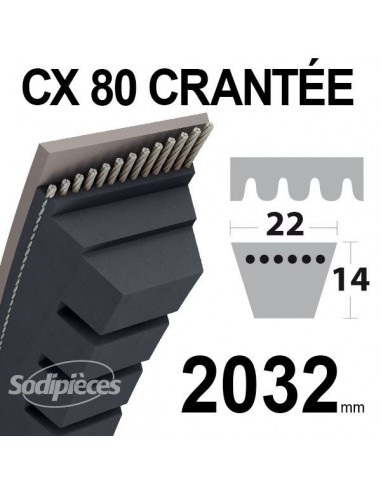 Courroie tondeuse CX80 Trapézoïdale 22 mm x 2032 mm.