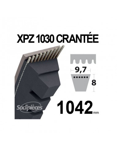 Courroie tondeuse XPZ1030 Trapézoïdale crantée. 9,7 mm x 1042 mm.
