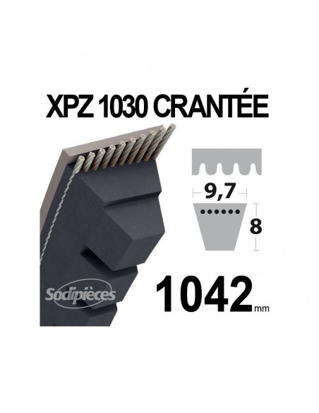Courroie tondeuse XPZ1030 Trapézoïdale crantée. 9,7 mm x 1042 mm.