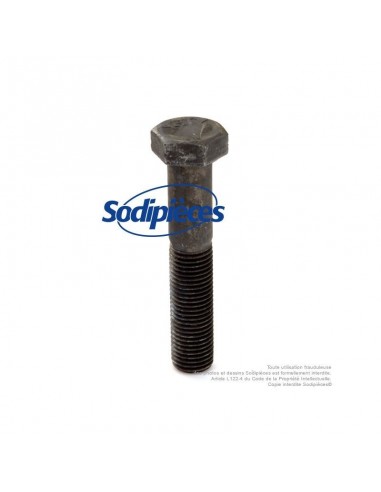 Vis de lame pas à droite pour Castelgarden N° 12736825/0