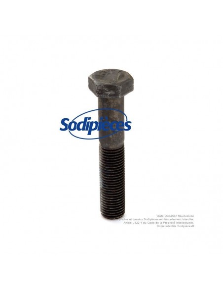 Vis de lame pas à droite pour Castelgarden N° 12736825/0