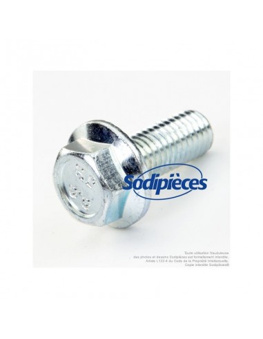 Vis de lame pas à droite pour HUSQVARNA N° origine 506 67 54-01