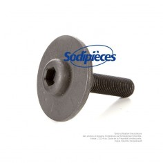 Vis pour Castelgarden Easy life 63 N° 12735460/0