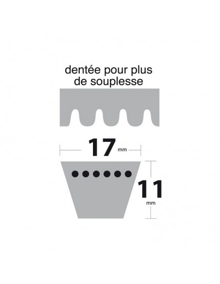 Courroie BX38 Trapézoïdale crantée. 17 mm x 1032 mm.