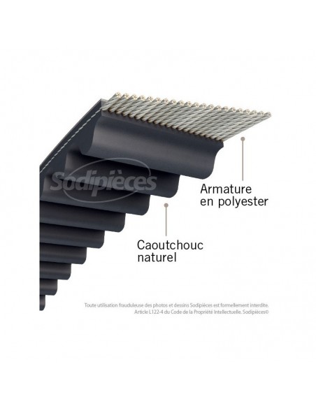 Courroie tondeuse 1280-8M20 Simple Denture. Larg : 20 mm x 1280 mm.