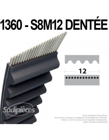 Courroie tondeuse 1360-S8M12 simple denture n° 9585-0163-01