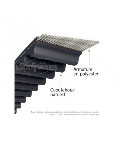 Courroie tondeuse 1440-8M20 Simple Denture. Larg : 20 mm x 1440 mm.