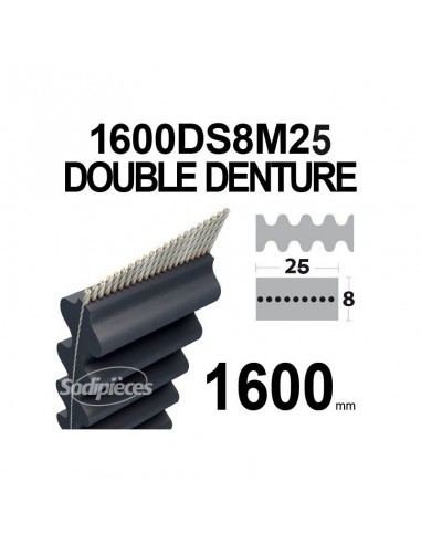 Courroie tondeuse 1600DS8M25 Double Denture. 25 mm x 1600 mm.