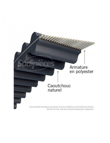 Courroie tondeuse 1760DS8M20 Double denture. 20 mm x 1760 mm.