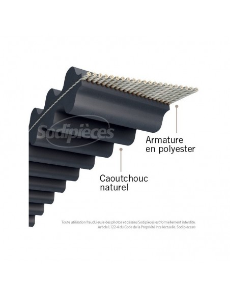 Courroie tondeuse 1800DS8M16 Double denture. 16 mm x 1800 mm.