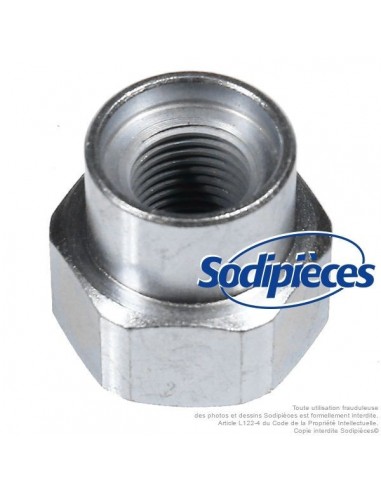 Adaptateur tête débroussailleuse Tecomec M12 x 1,25 LHF pour Xenoah