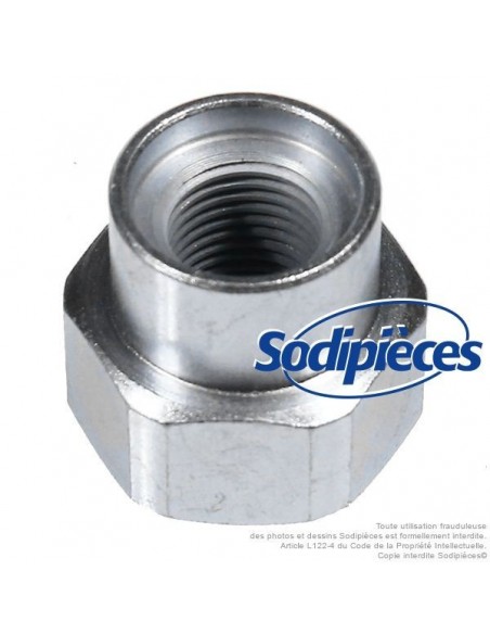 Adaptateur tête débroussailleuse Tecomec M12 x 1,25 LHF pour Xenoah