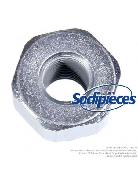 Adaptateur tête débroussailleuse Tecomec M12 x 1,25 LHF pour Xenoah