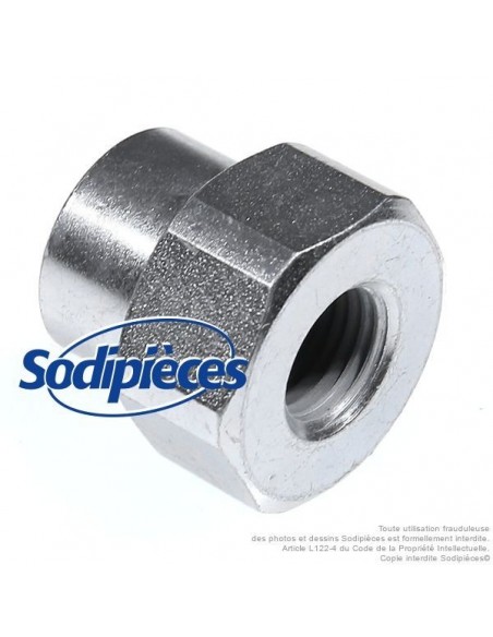 Adaptateur tête débroussailleuse Tecomec M12 x 1,25 LHF pour Xenoah