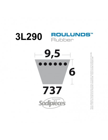 Courroie tondeuse 3L290 Roulunds Continental 9,5 x 6 x 737 mm